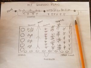 creating a garden plan