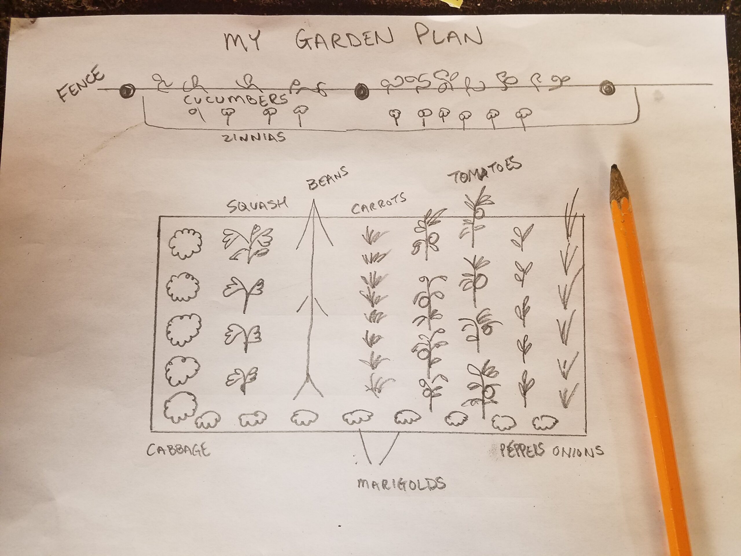 a-simple-garden-plan